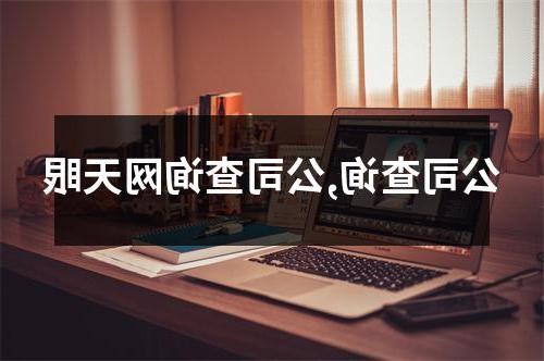 公司查询,公司查询网天眼