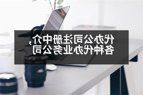 代办公司注册中介,各种代办业务公司