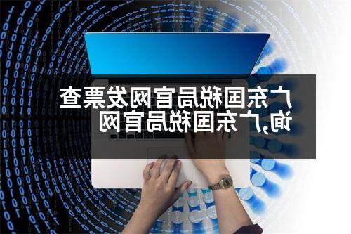 广东国税局官网发票查询,广东国税局官网