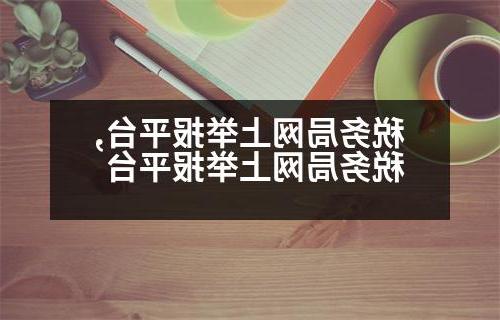 税务局网上举报平台,税务局网上举报平台