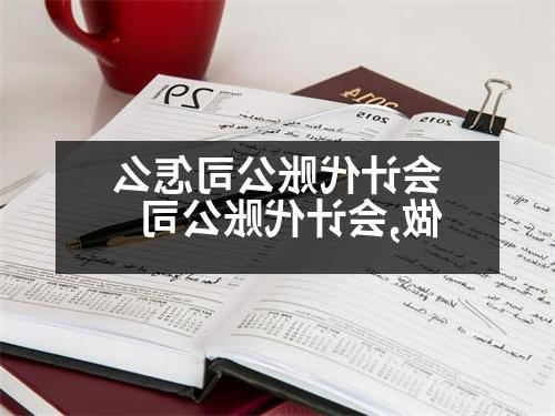 会计代账公司怎么做,会计代账公司