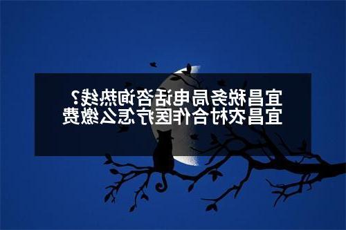 宜昌税务局电话咨询热线？宜昌农村合作医疗怎么缴费