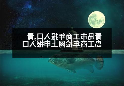 青岛市工商年报入口,青岛工商年检网上申报入口