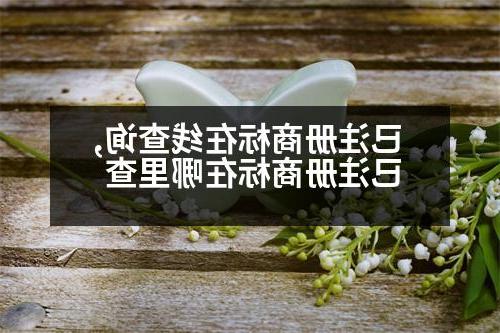 已注册商标在线查询,已注册商标在哪里查