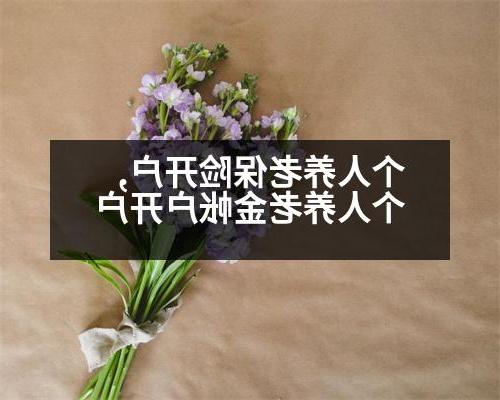 个人养老保险开户,个人养老金帐户开户